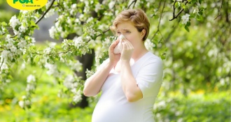 Viêm mũi dị ứng khi mang thai và kinh nghiệm chữa bệnh hiệu quả
